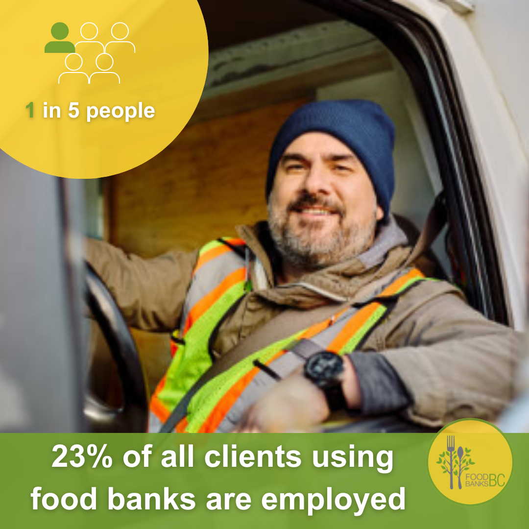 1 in 5 BC food bank clients are employed